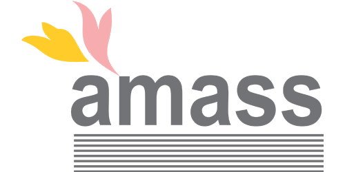Amass Strap Complete Strapping Solutions